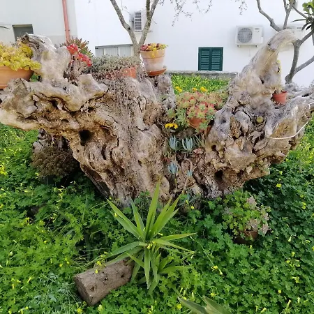 Elisa Appartamento
